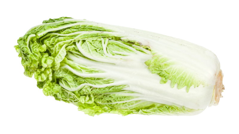 Chinese cabbage benefits