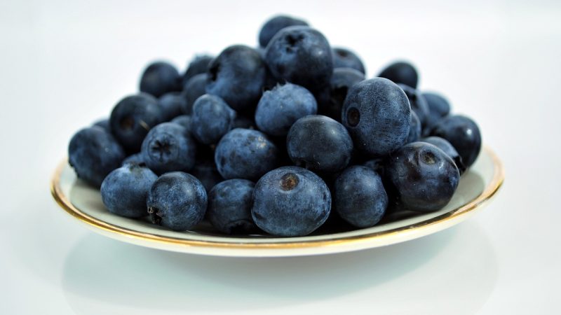 Mulberrys benefits