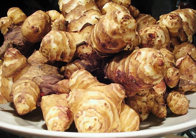 Jerusalem artichoke planting