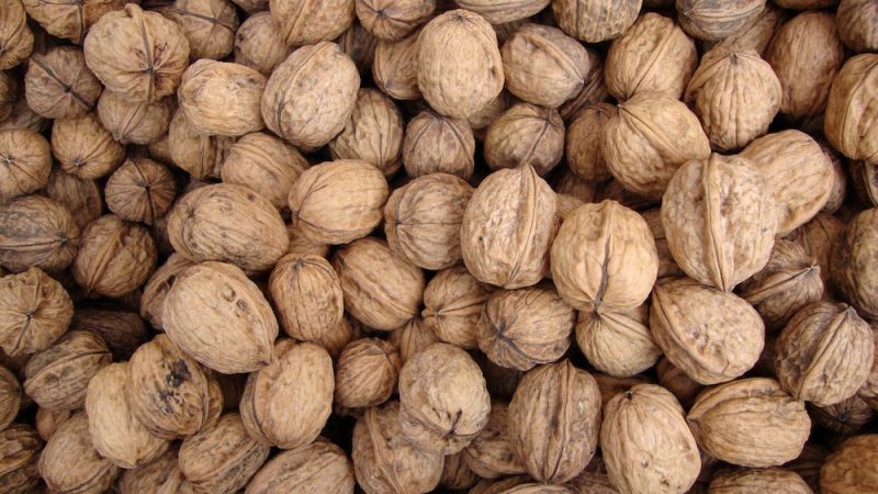 Walnut drying and preparation