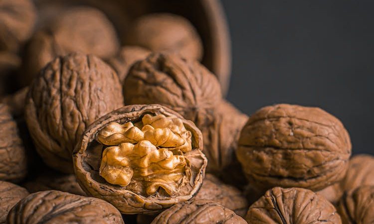 How and when to plant walnuts?