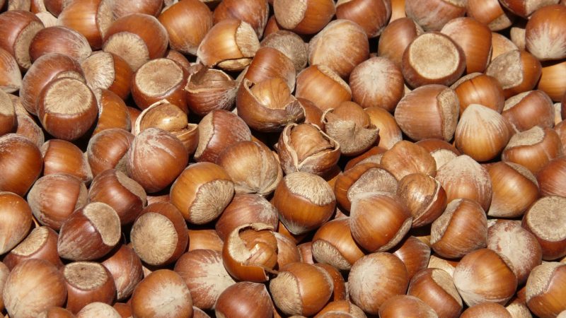 Hazelnuts benefits