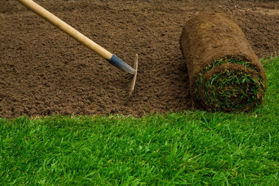 A Guide to Successful Lawn Planting
