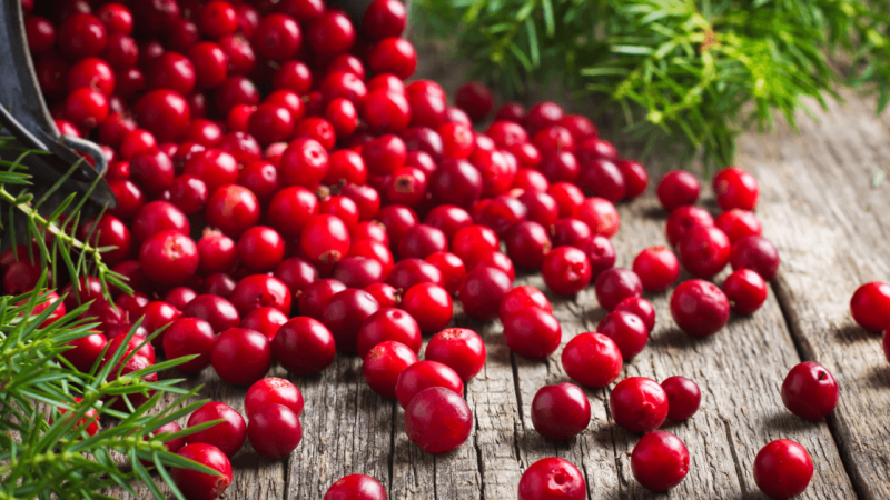 Discover the Health Benefits of Cranberries and Learn How to Plant Them